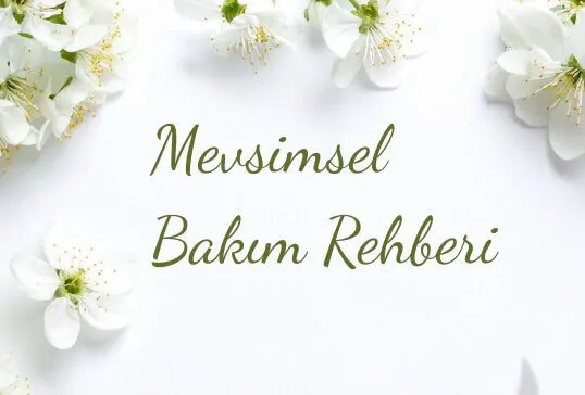 Cildin Doğayla Senkronu: Mevsimsel Bakım Rehberi